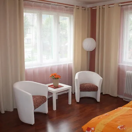 Pensionat Privat Silvan *